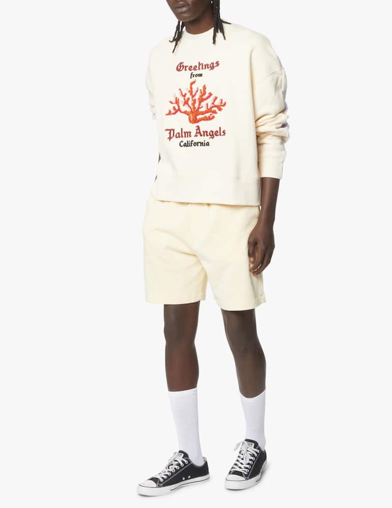 rinascente Palm Angels Coral mix knit cn sweater - white