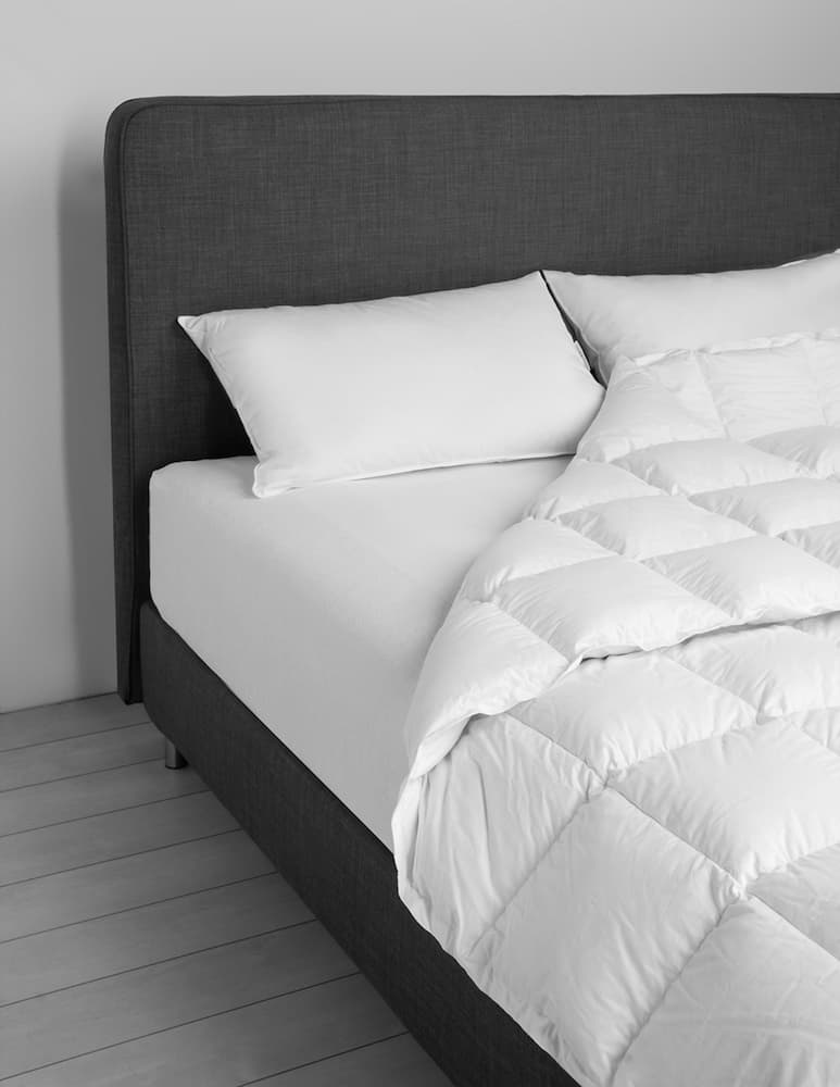 rinascente Daunenstep Down Duvet D800 Cold Winter 200x220cm - white