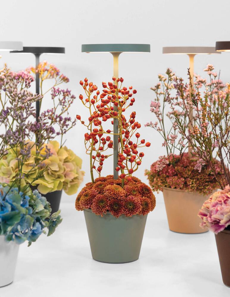 rinascente Zafferano Poldina Reverso Table Lamp