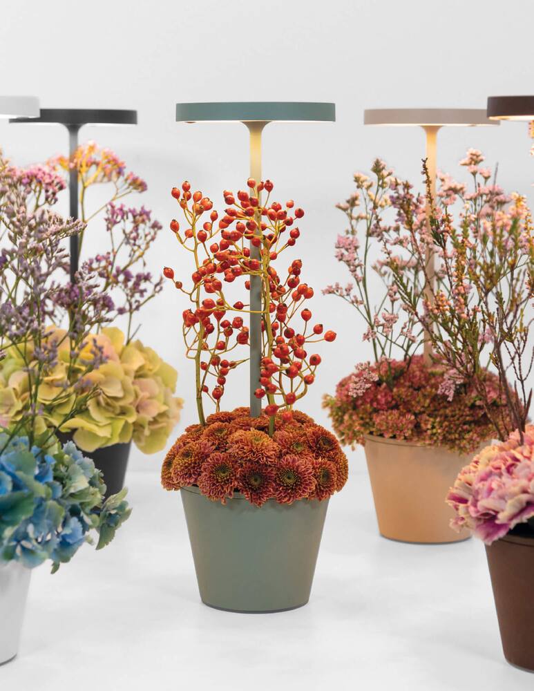 rinascente Zafferano Poldina Reverso  Lampada da tavolo