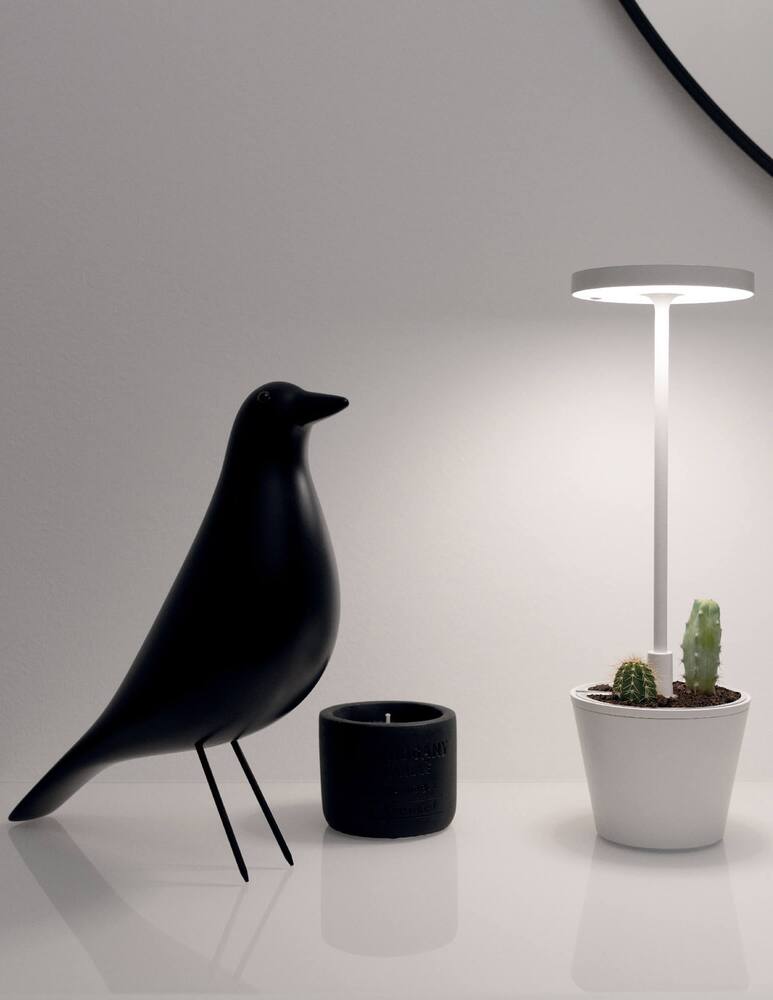 rinascente Zafferano Poldina Reverso  Lampada da tavolo