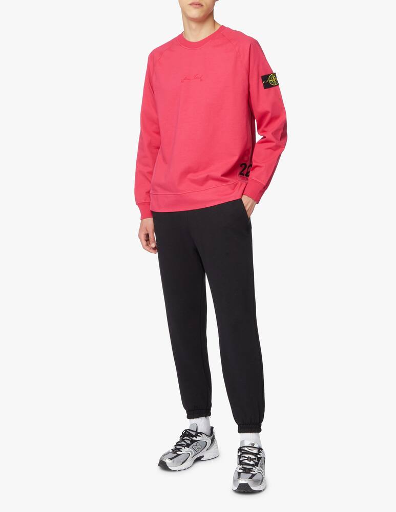 rinascente Stone Island 40th anniversary sweatshirt - violet