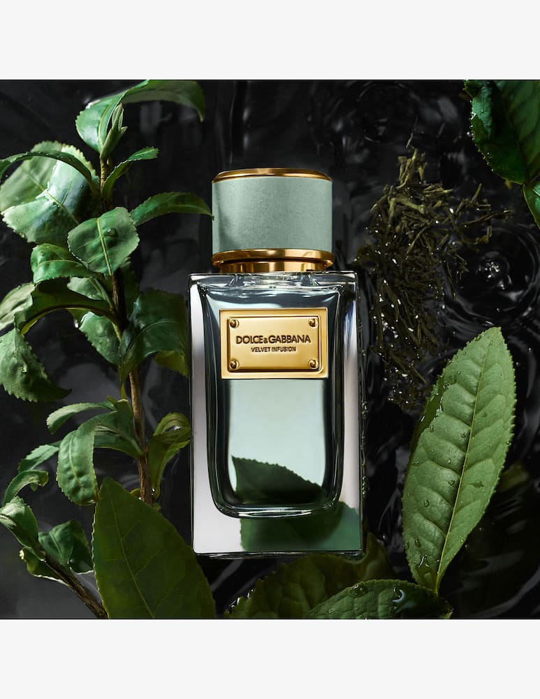 Dolce & Gabbana Velvet Infusion Eau de Parfum - immagine 4 Dolce & Gabbana Velvet Infusion Eau de Parfum - immagine 4