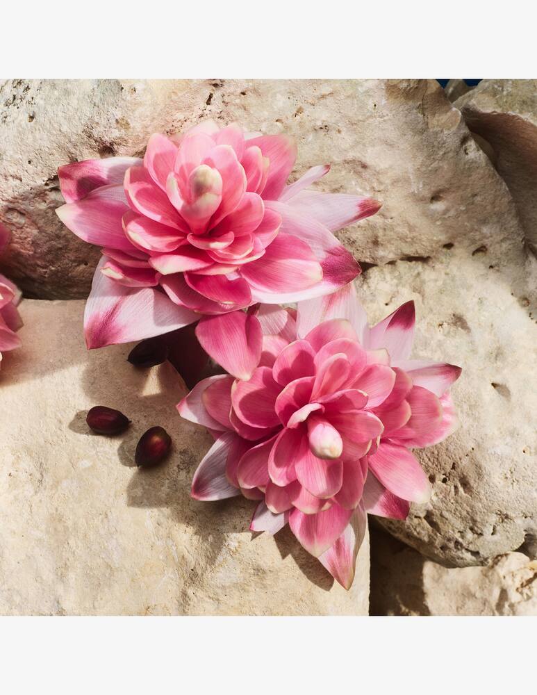 rinascente Dolce & Gabbana Light Blue Capri In Love Eau de Parfum