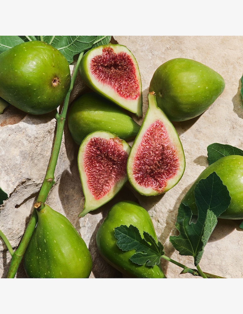 rinascente Dolce & Gabbana Light Blue Capri In Love Pour Homme Eau de Parfum