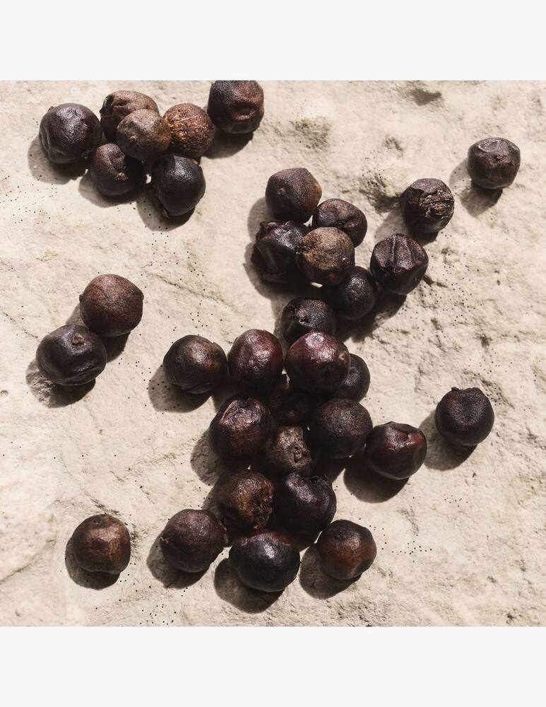 rinascente Dolce & Gabbana Light Blue Capri In Love Pour Homme Eau de Parfum