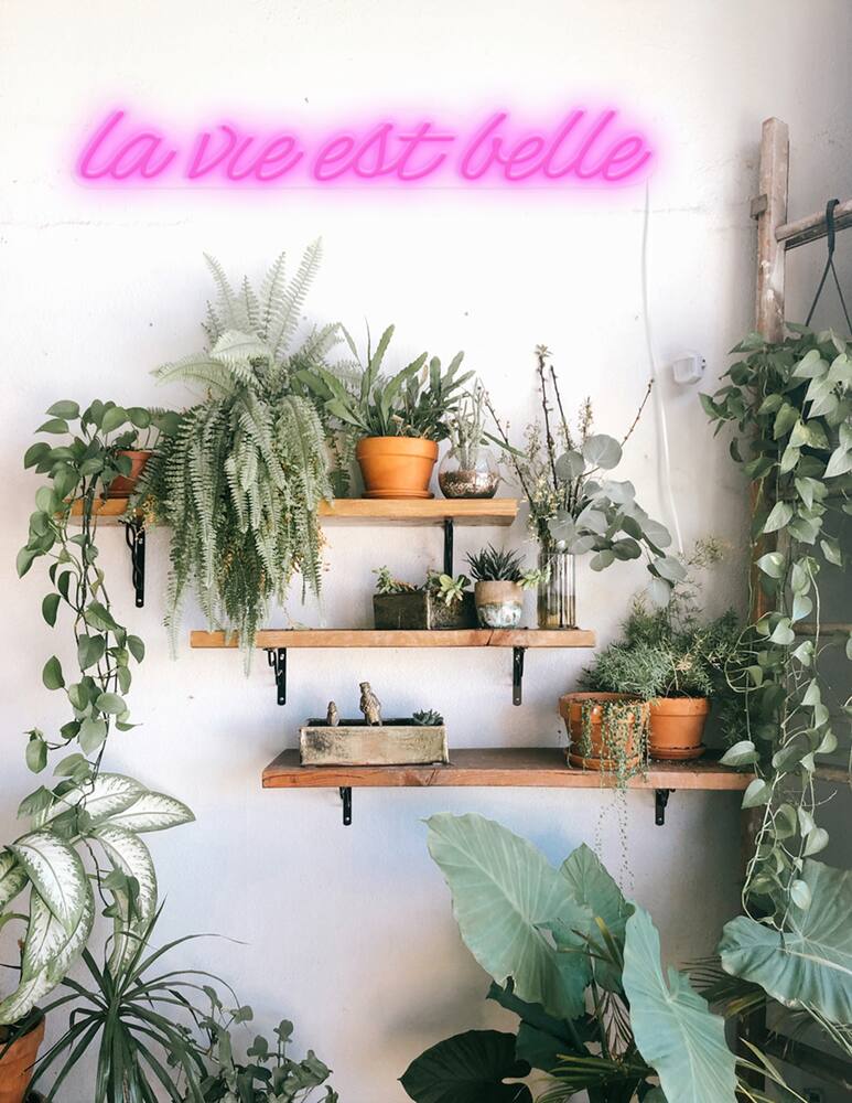 rinascente Candyshock Neon/Ledparete Con Design La Vie Est Belle