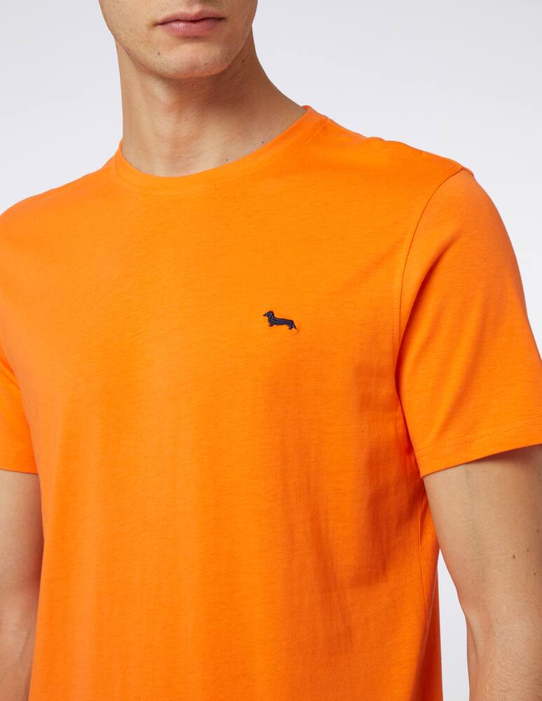 rinascente Harmont & Blaine Basic tshirt