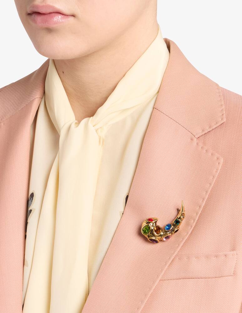 rinascente ETRO Paisley brooch with crystals