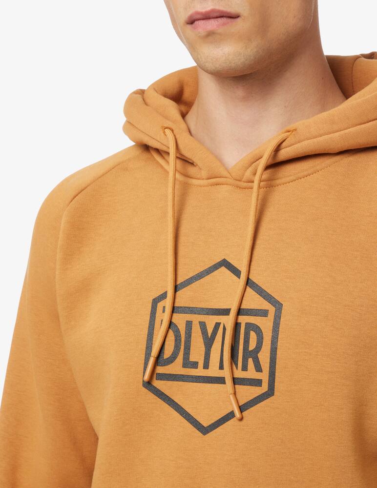 rinascente Dolly Noire Felpa con cappuccio con logo - Marrone