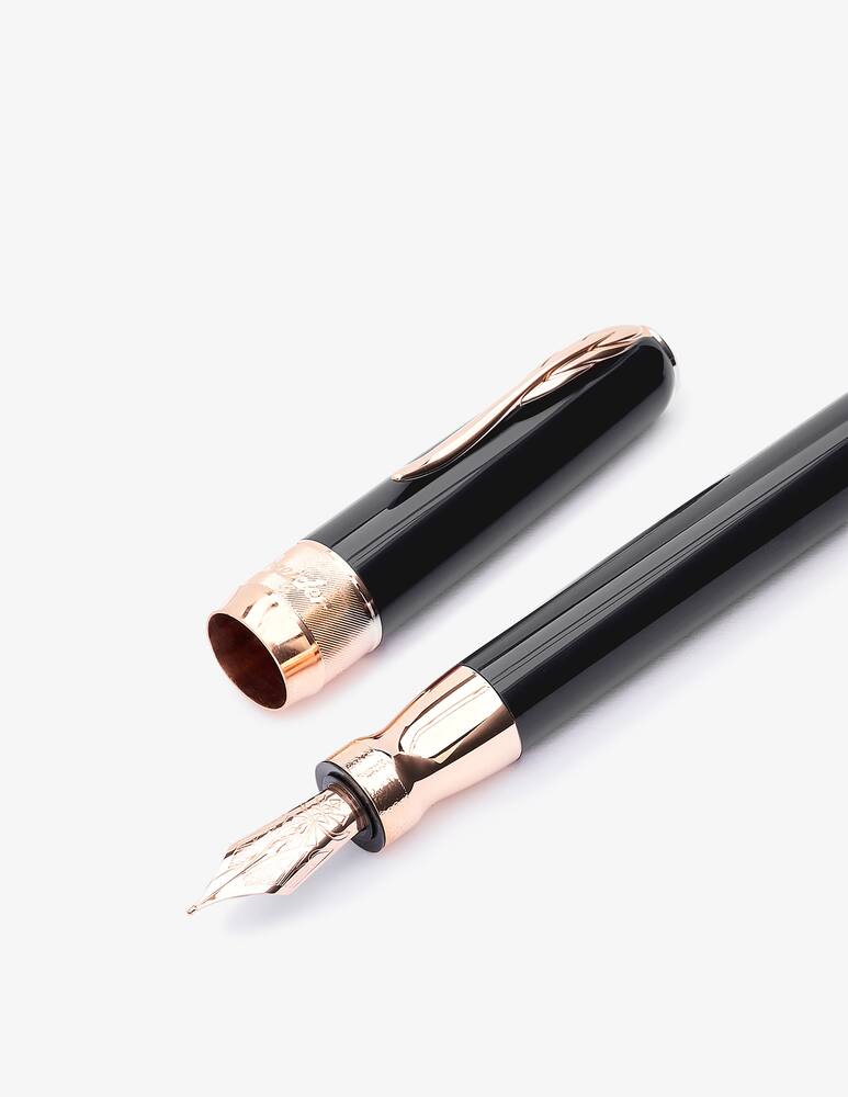 rinascente Pineider Fountain Pen Penna Stilografica Classic Medium