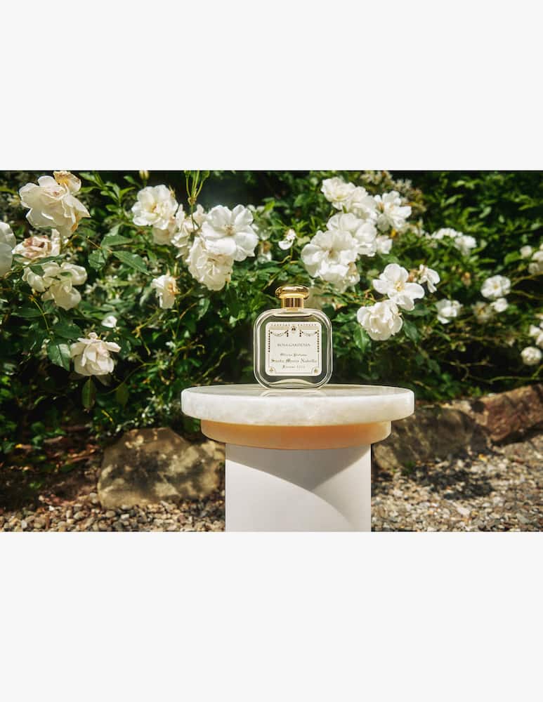 rinascente Santa Maria Novella Colonia Rosa Gardenia Firenze 1221