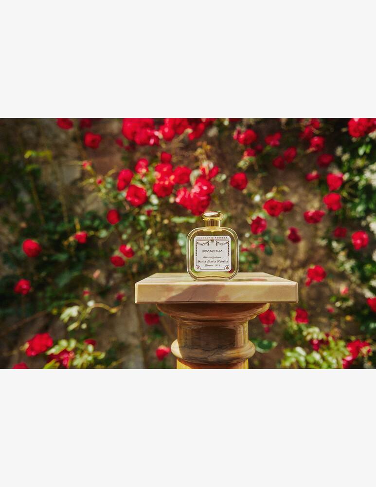 rinascente Santa Maria Novella Rosa Novella Firenze 1221 Cologne