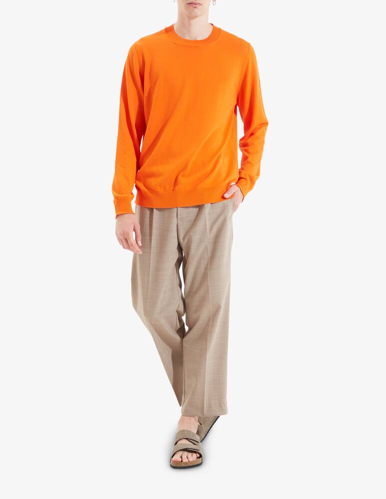 Amaranto Cotton crewneck jumper - picture 2 Amaranto Cotton crewneck jumper - picture 2