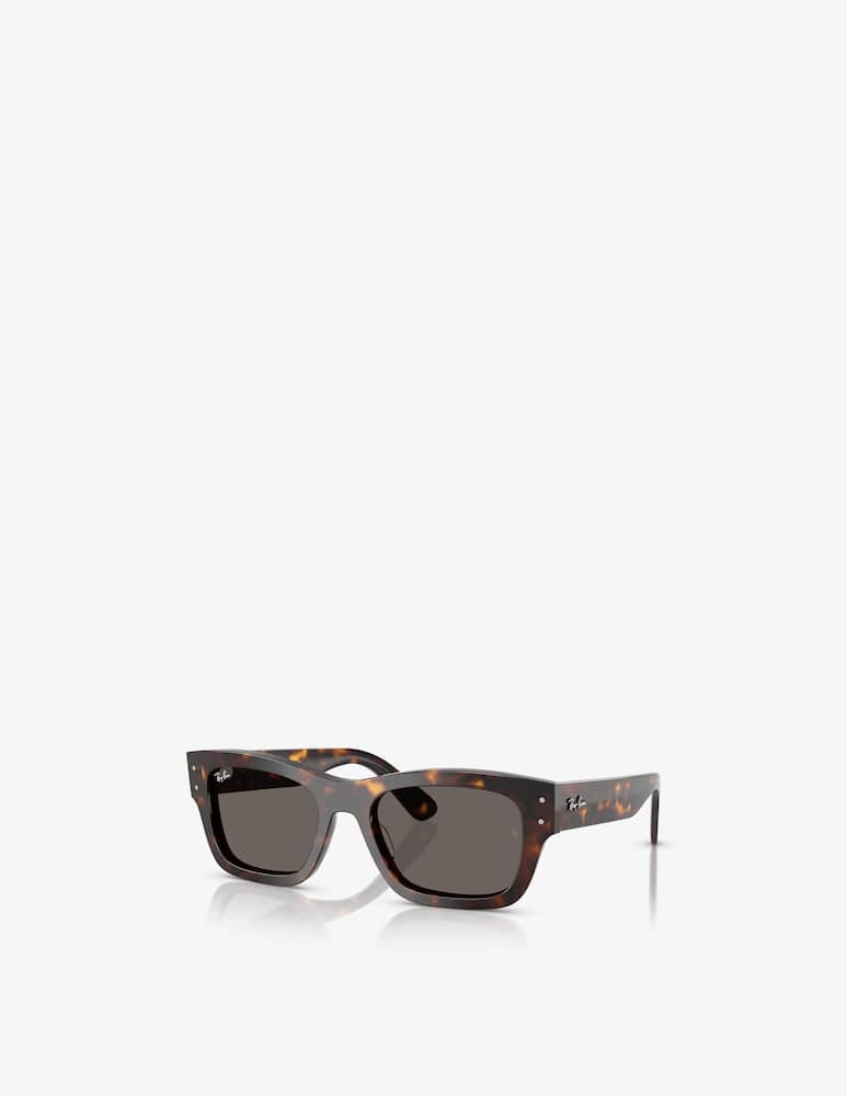 rinascente Ray-Ban Sunglasses Havana RB7683