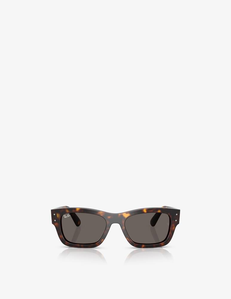 rinascente Ray-Ban Sunglasses Havana RB7683