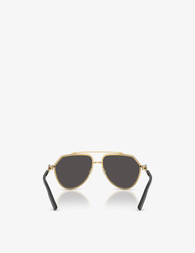 rinascente Dolce & Gabbana 0DG2315 sunglasses