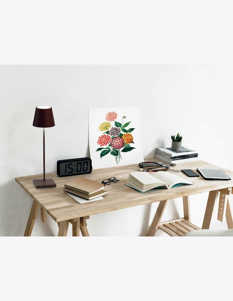 Zafferano Poldina Pro Corten - immagine 2 Zafferano Poldina Pro Corten - immagine 2
