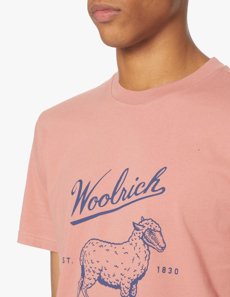rinascente Woolrich Vintage sheep t-shirt - pink