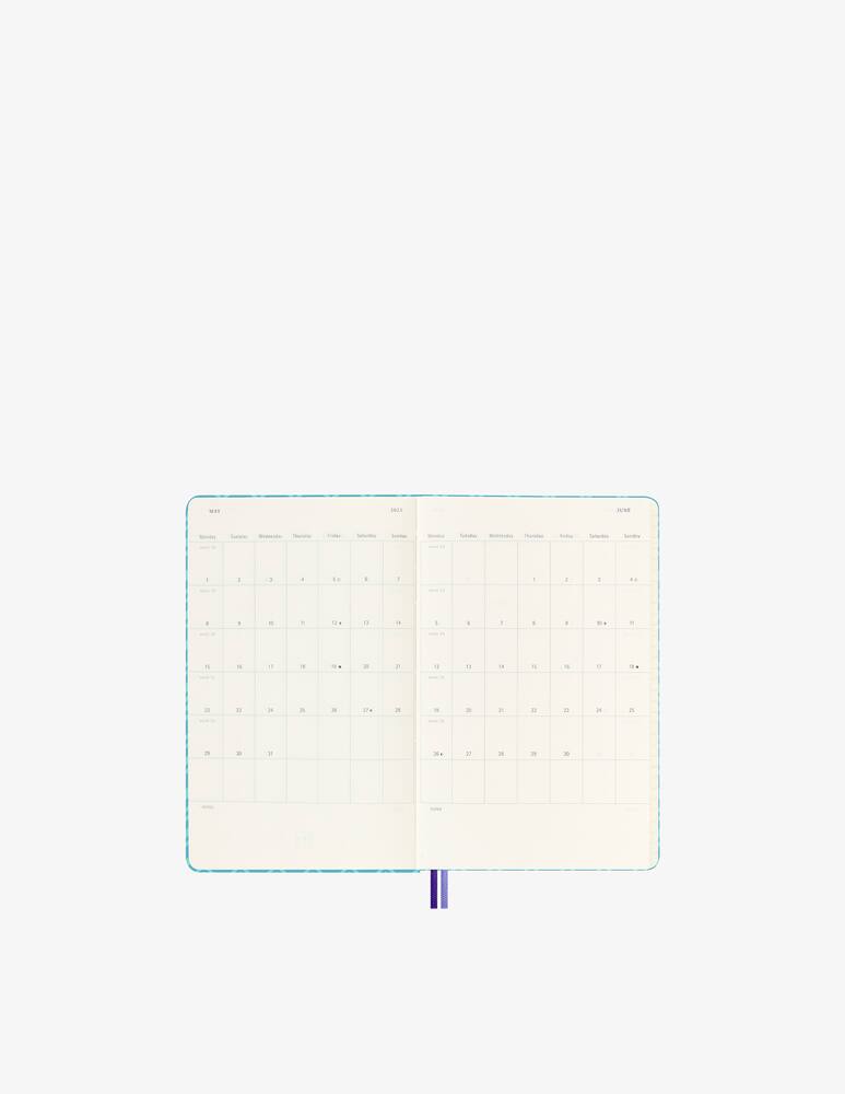 rinascente Moleskine 12 Mesi Giornaliera Large Miss Blu - Blu