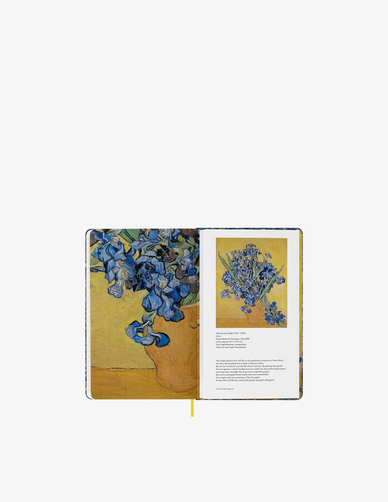 rinascente Moleskine Van Gogh Notebook Large Rul Asst Color