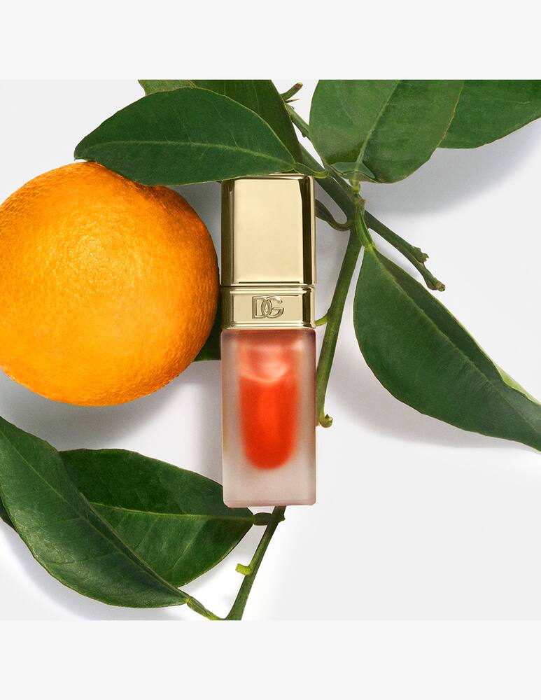 rinascente Dolce & Gabbana Oil Lip Plumper