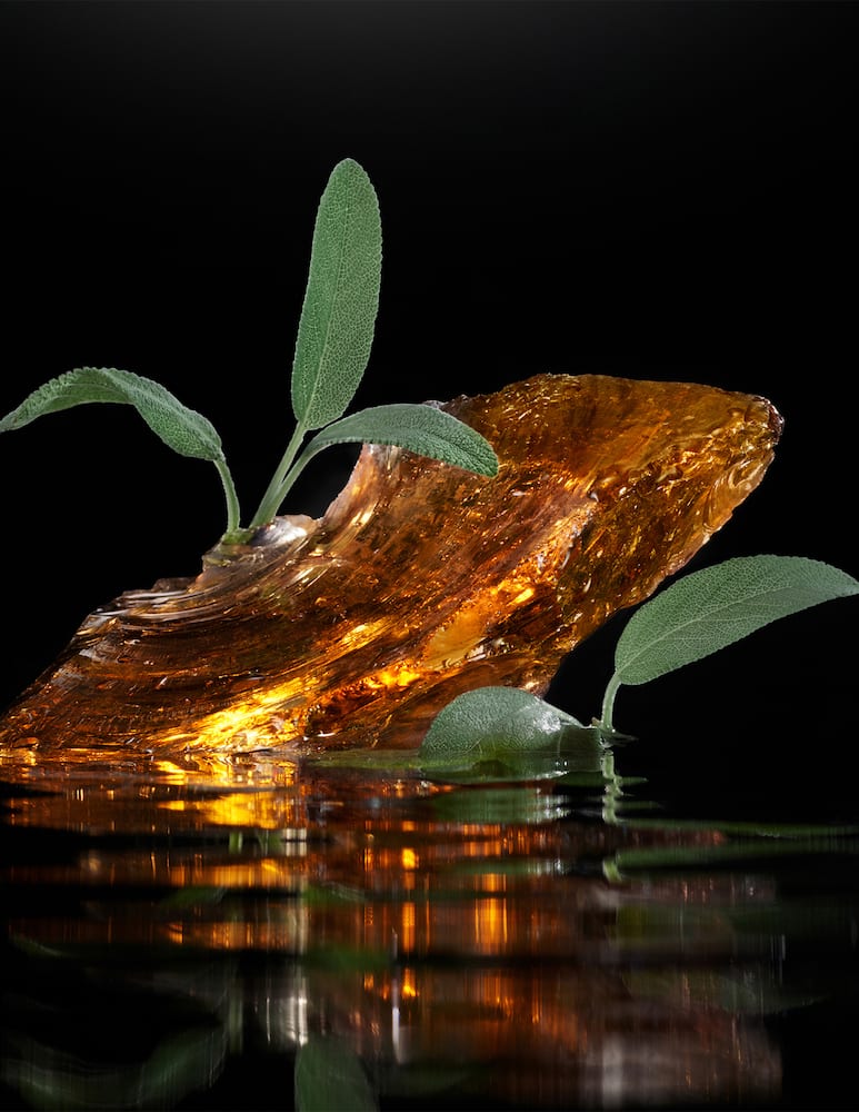 Dolce & Gabbana Velvet Amber Sage Eau de Parfum - immagine 4 Dolce & Gabbana Velvet Amber Sage Eau de Parfum - immagine 4