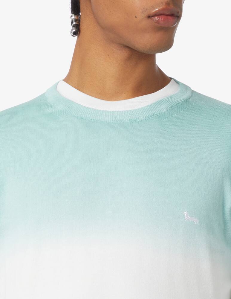 rinascente Harmont & Blaine Degrade crewneck jumper 