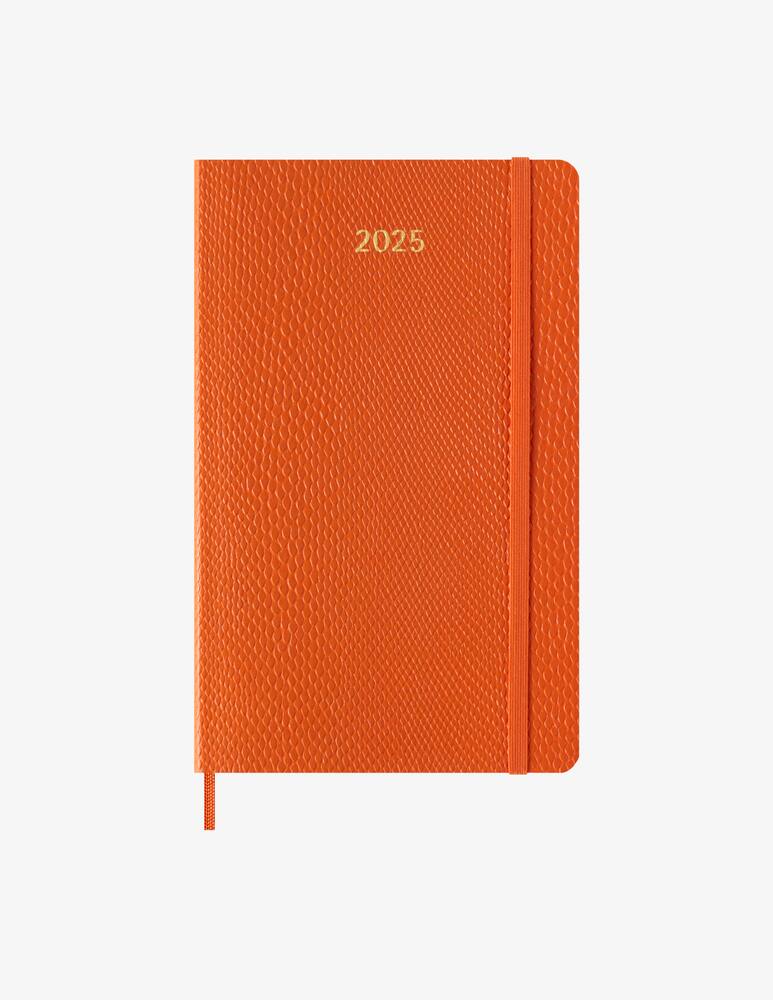 Moleskine 14 Mesi Settimanale Large Precious & Ethical Box - immagine 1 Moleskine 14 Mesi Settimanale Large Precious & Ethical Box - immagine 1