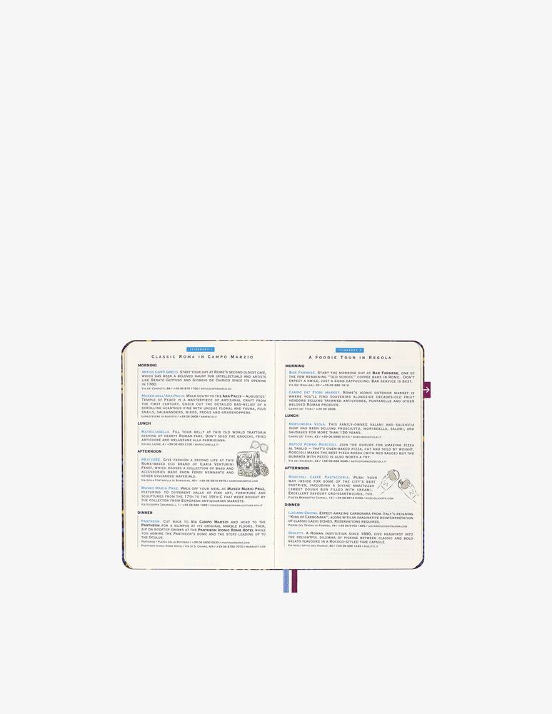 rinascente Moleskine City Of Rome Travel Guide Notebook