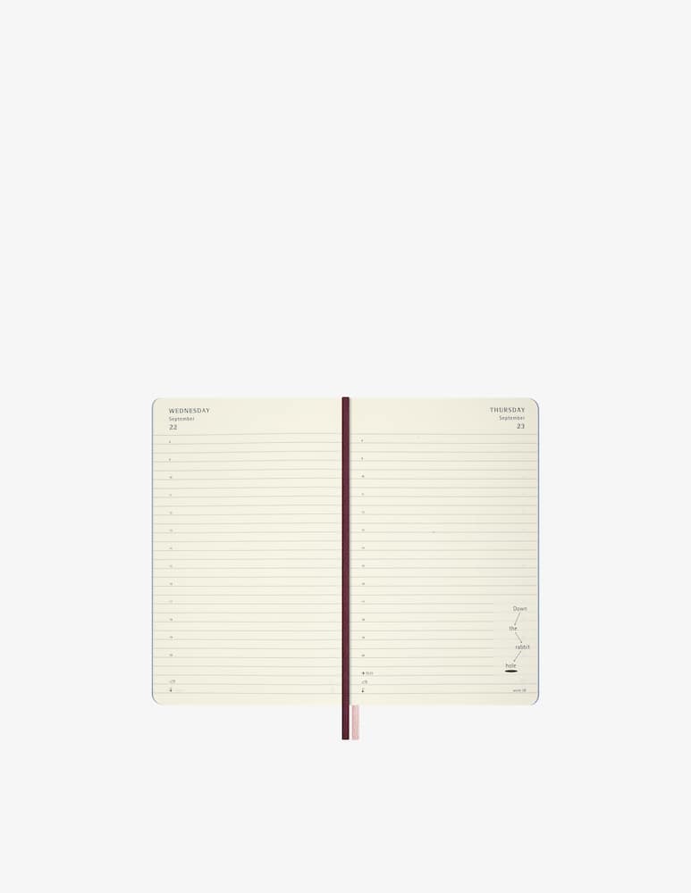 Moleskine LG Daily Planner hardback cover 12 months - picture 2 Moleskine LG Daily Planner hardback cover 12 months - picture 2
