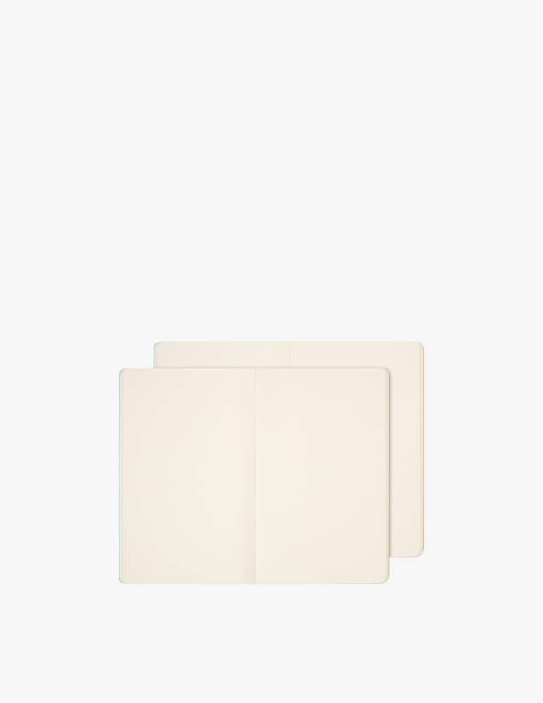 rinascente Moleskine Impressionism Set of 2 large notebooks blank pages