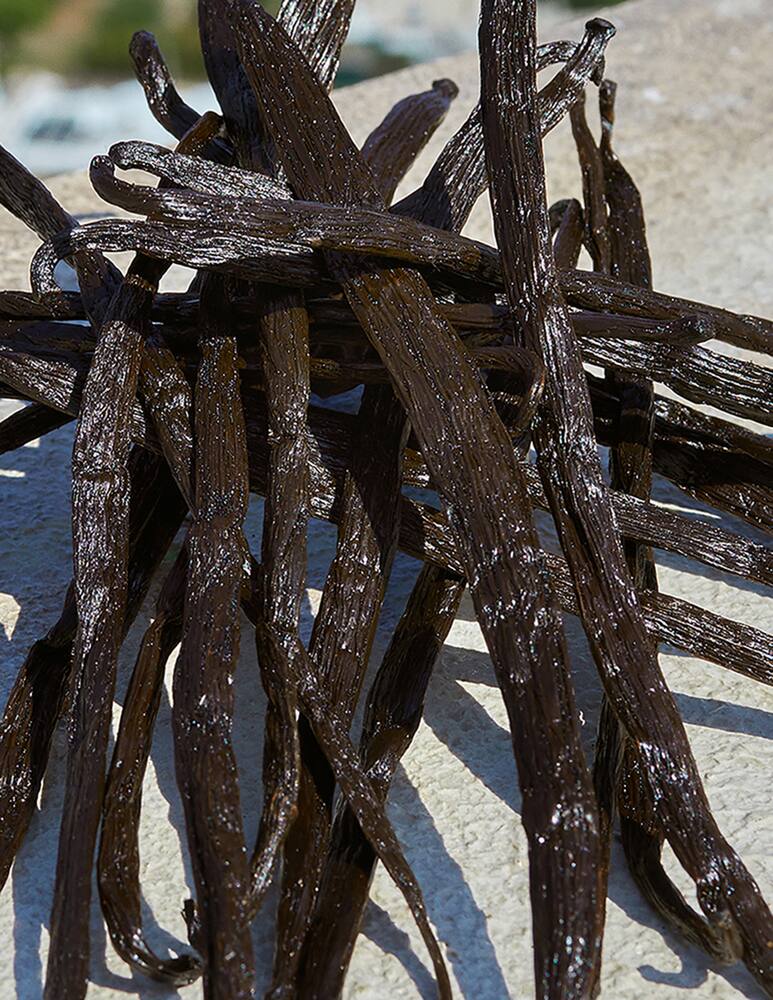 rinascente Dolce & Gabbana Devotion Eau de Parfum