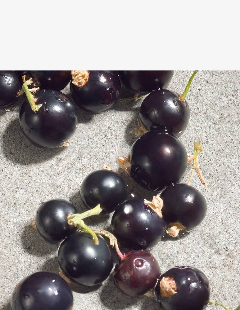 rinascente Dolce & Gabbana Dolce Violet Eau de Toilette