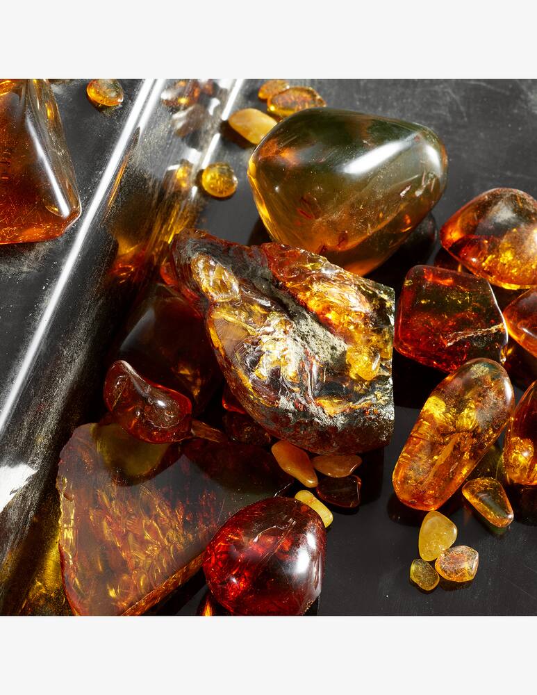 rinascente Dolce & Gabbana Q by Dolce&Gabbana Eau de Parfum Intense