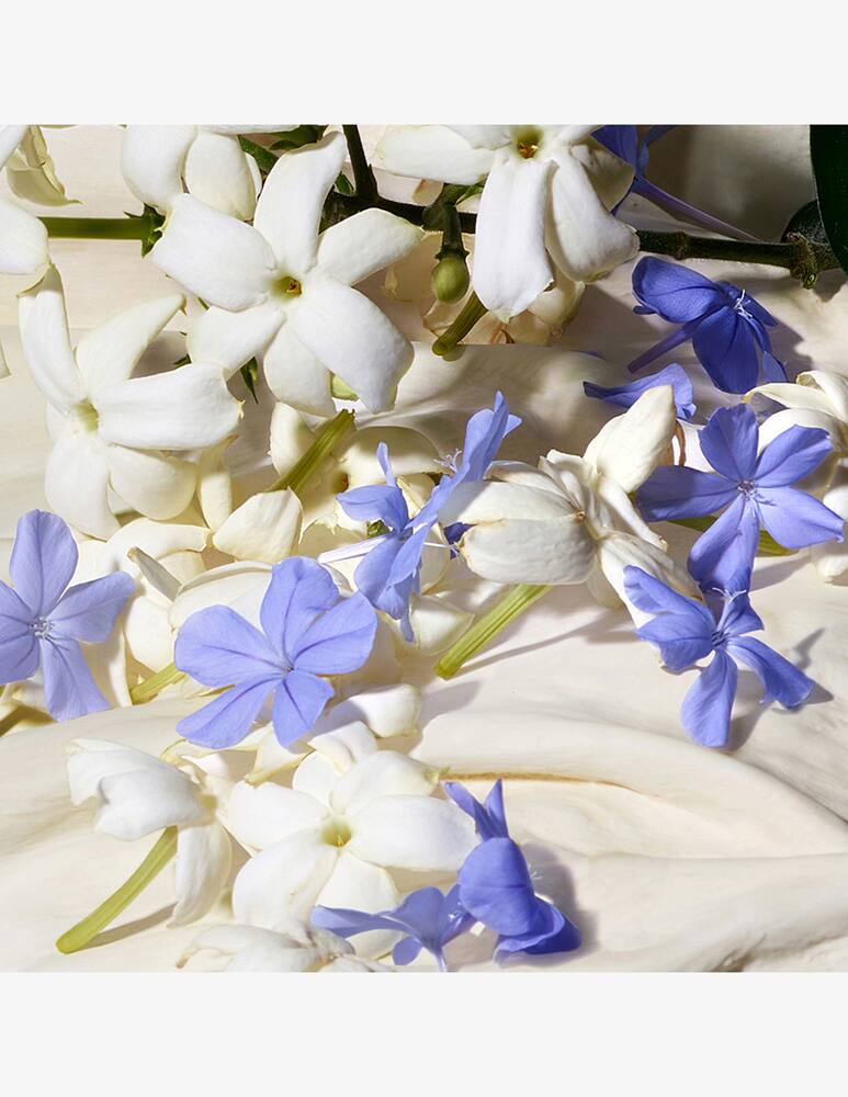 rinascente Dolce & Gabbana Dolce Blue Jasmine Eau de Toilette