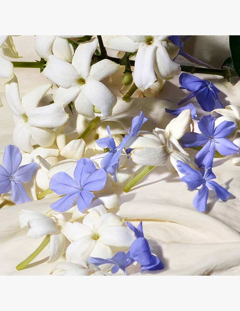 rinascente Dolce & Gabbana Dolce Blue Jasmine Eau de Toilette