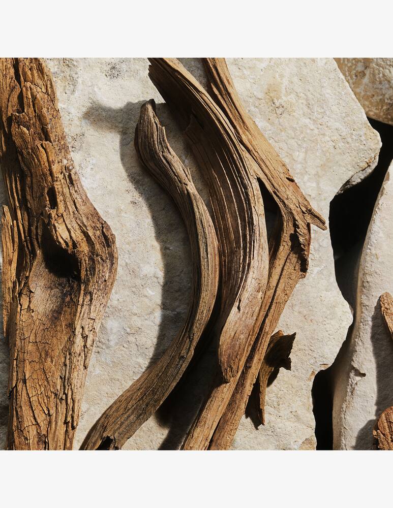 rinascente Dolce & Gabbana Light Blue Eau De Toilette