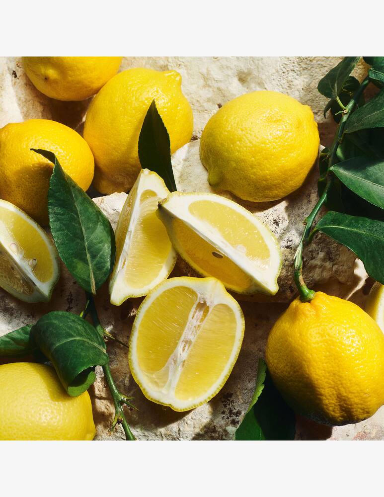 rinascente Dolce & Gabbana Light Blue Eau De Toilette