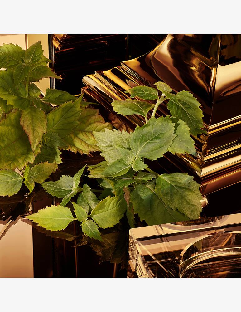 rinascente Dolce & Gabbana The One for Men Gold Eau de Parfum Intense