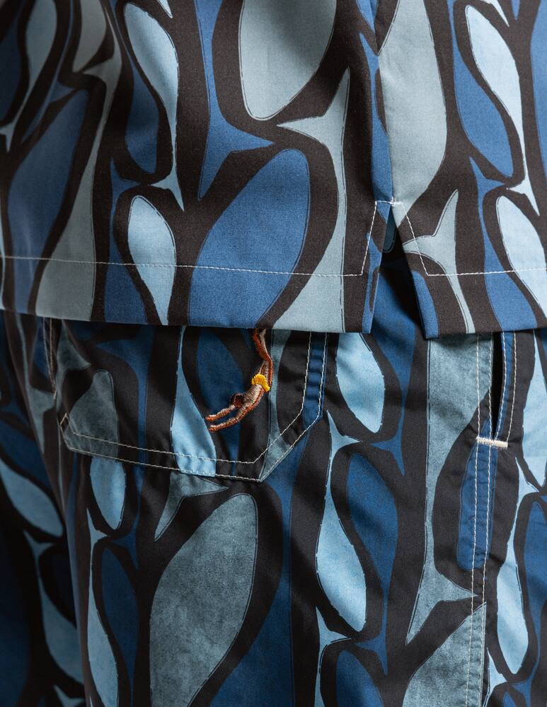 rinascente Mosso Boxer mare stampa grafica