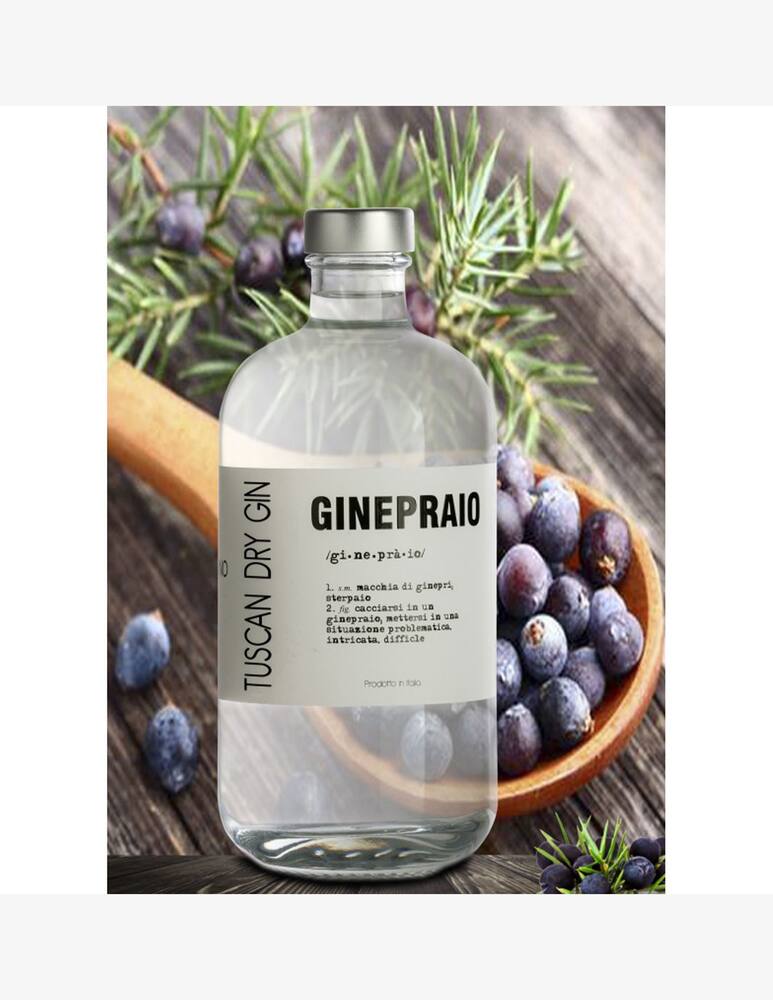 rinascente Rinaldi 1957 Ginepraio Gin 50cl