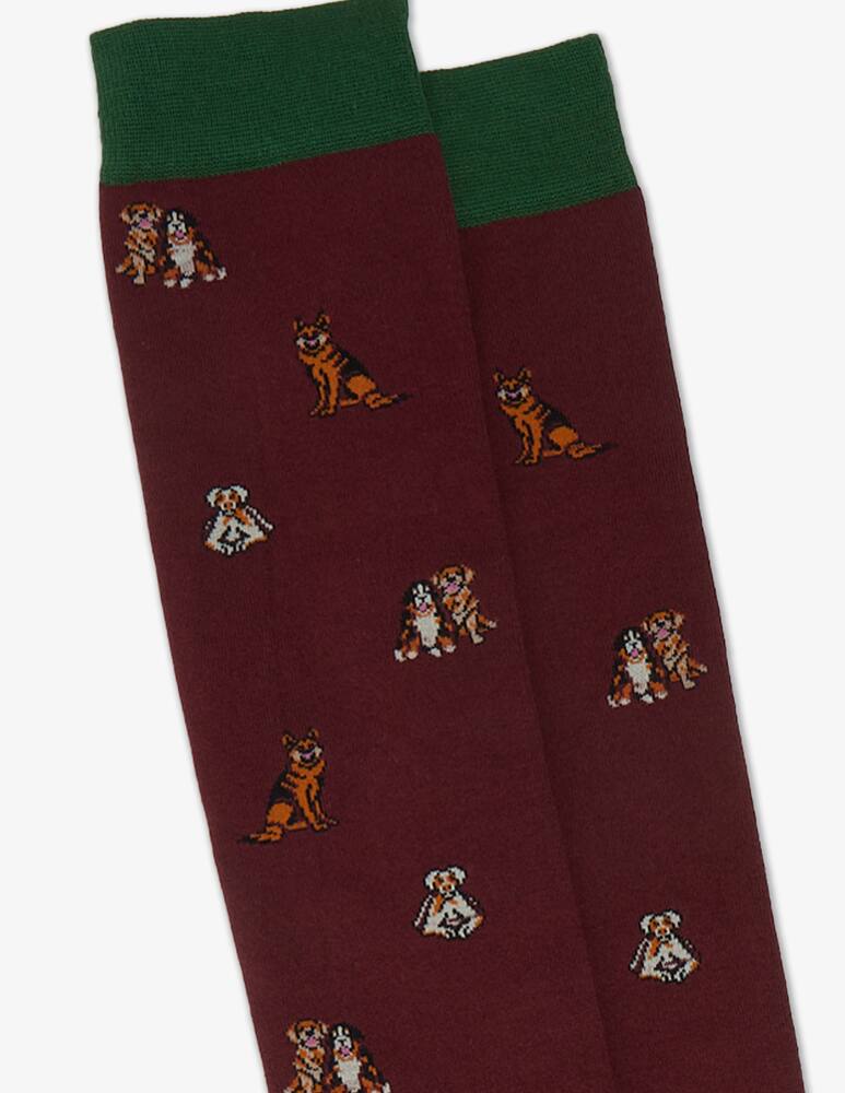 rinascente Gallo Dogs socks