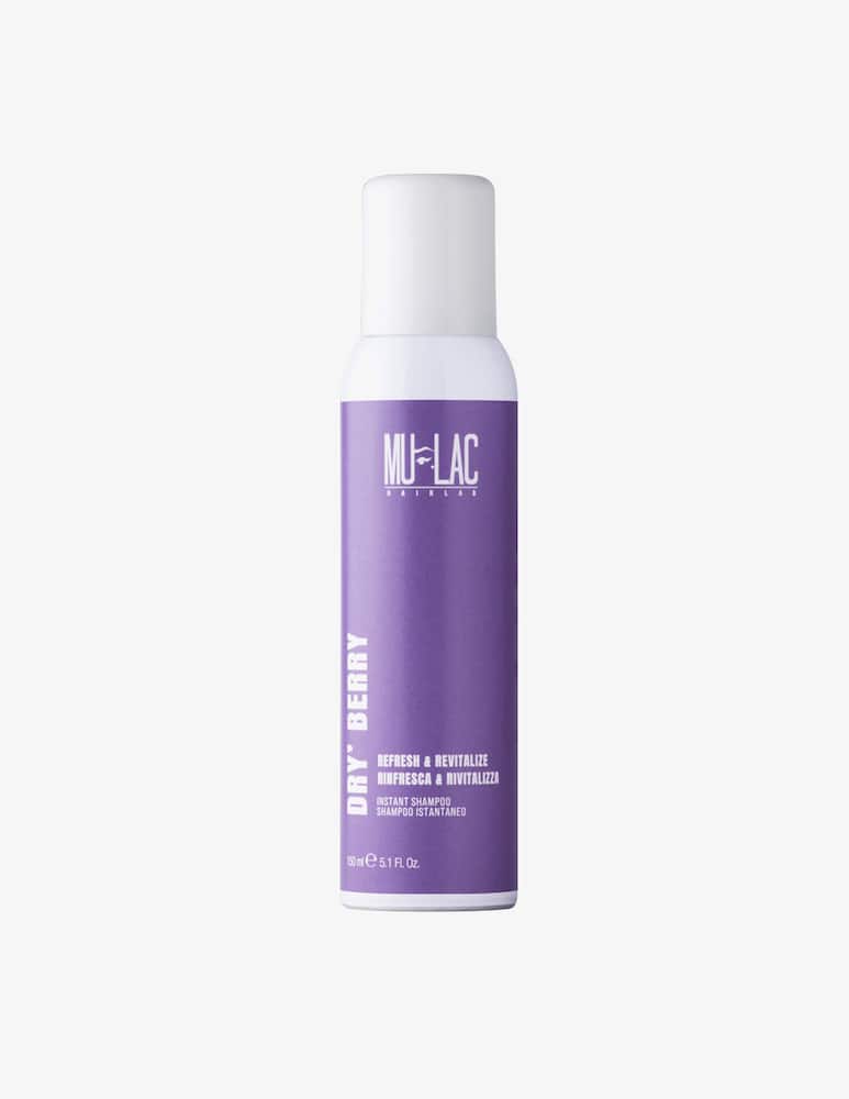 Mulac Dryberry10 Shampoo Secco - immagine 1 Mulac Dryberry10 Shampoo Secco - immagine 1