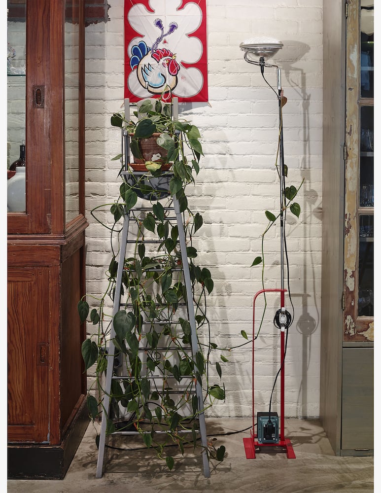 rinascente Flos Toio Led Lampada Da Pavimento