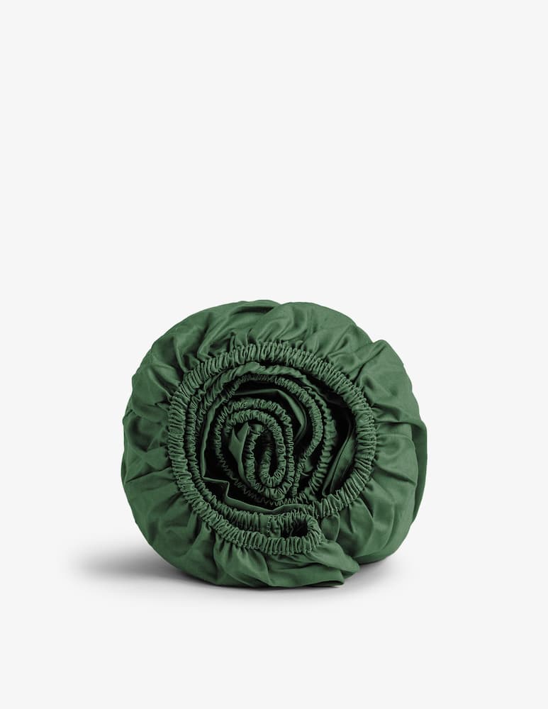 rinascente Dalfilo Lenzuolo Sotto con Angoli Percalle 180x200