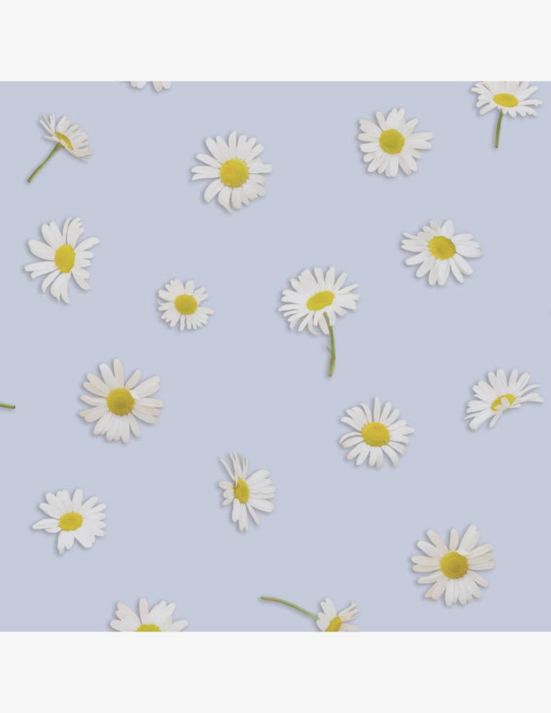 rinascente Tessitura Randi Daisy Parure Copripiumino In Raso