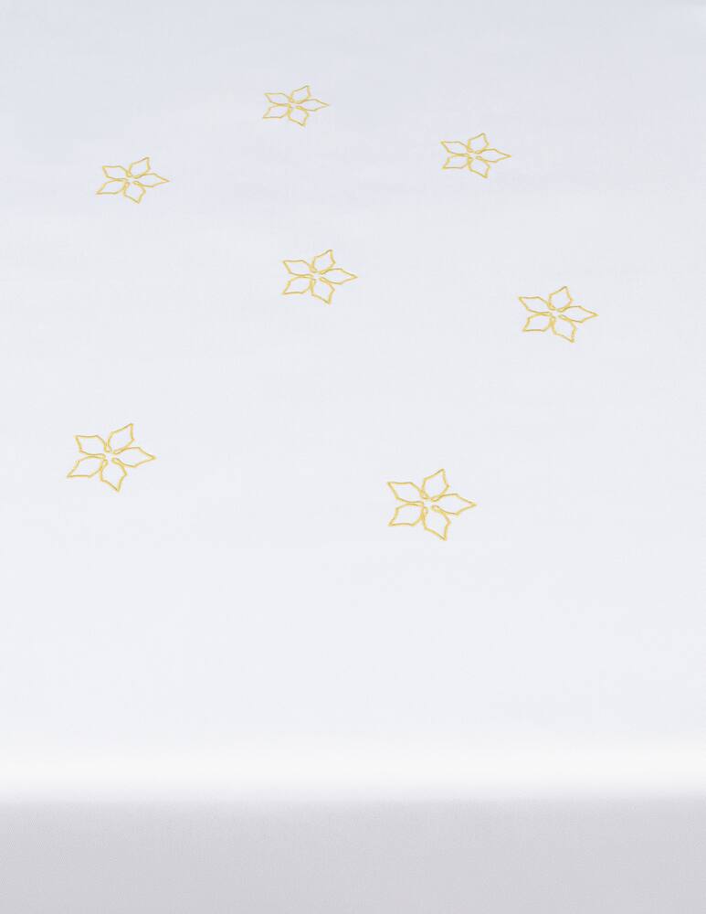 rinascente Rivolta Carmignani Stella Di Natale Runner