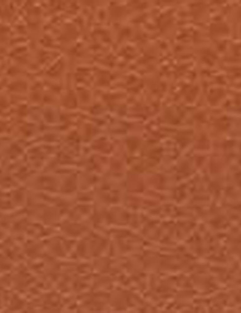 rinascente Coccinelle Borsa a tracolla C-me S