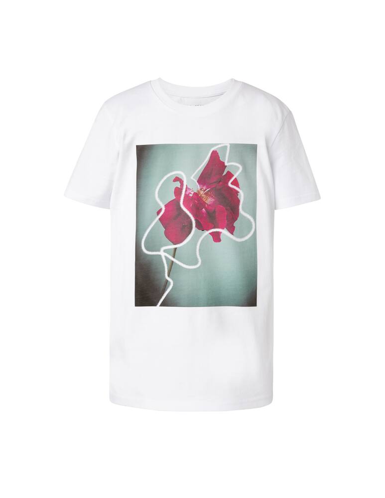 rinascente Lisa King Organic cotton printed t-shirt Rosetta